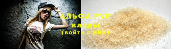 амф Вяземский