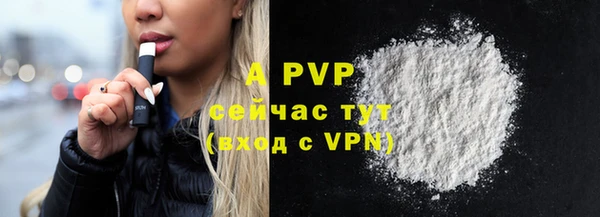 амф Вяземский