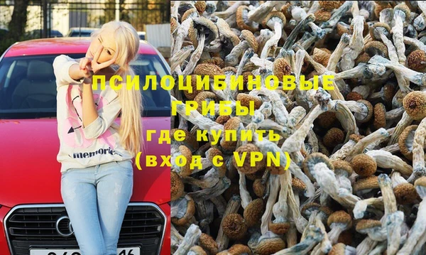 ешки Вязники