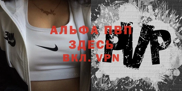 амф Вяземский