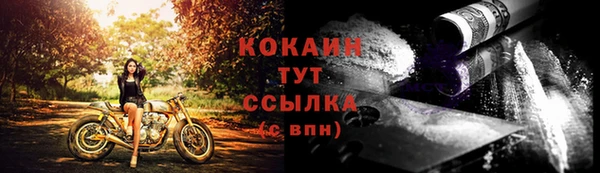 PSILOCYBIN Вязьма