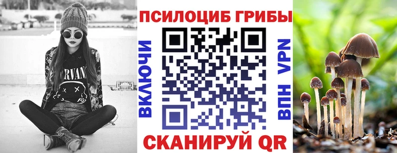 Купить где  Владимир  Галлюциногенные грибы мухоморы 